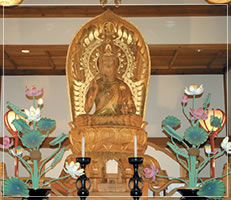 神奈川の樹木葬 龍散禅寺 伊勢原観音