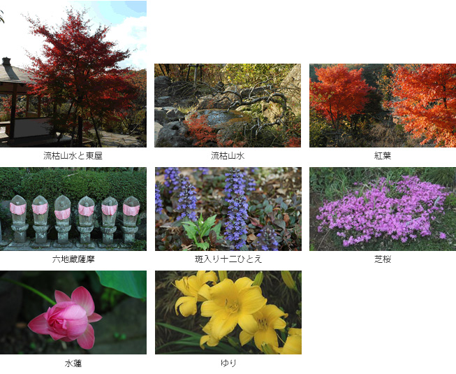 神奈川の樹木葬 龍散禅寺