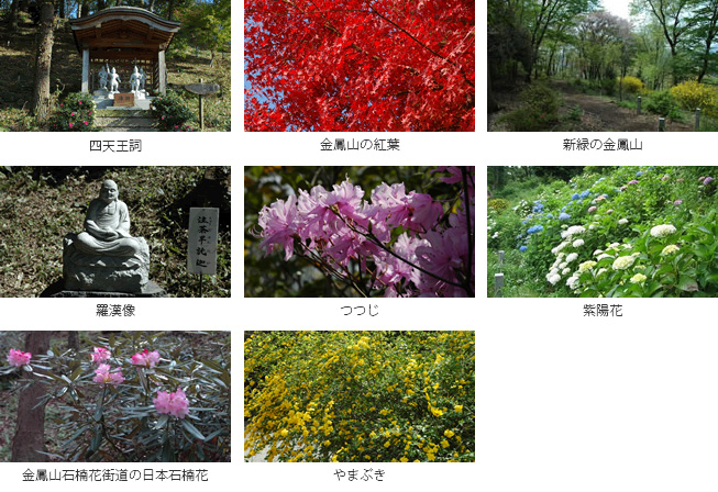 神奈川の樹木葬 龍散禅寺