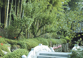 樹木葬 陽光の杜 写真1